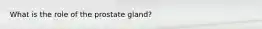 What is the role of the prostate gland?