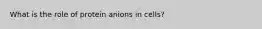 What is the role of protein anions in cells?