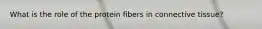 What is the role of the protein fibers in connective tissue?