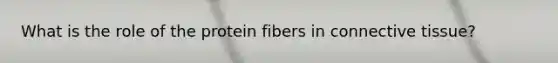 What is the role of the protein fibers in connective tissue?