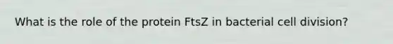 What is the role of the protein FtsZ in bacterial cell division?