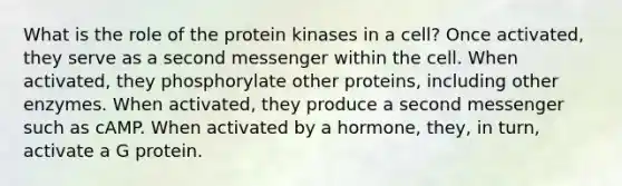 What is the role of the protein kinases in a cell? Once activated, they serve as a second messenger within the cell. When activated, they phosphorylate other proteins, including other enzymes. When activated, they produce a second messenger such as cAMP. When activated by a hormone, they, in turn, activate a G protein.