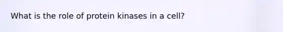 What is the role of protein kinases in a cell?