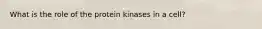 What is the role of the protein kinases in a cell?