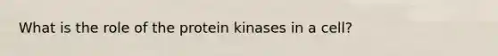 What is the role of the protein kinases in a cell?