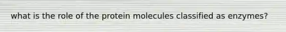 what is the role of the protein molecules classified as enzymes?