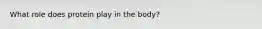 What role does protein play in the body?