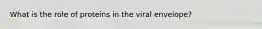 What is the role of proteins in the viral envelope?