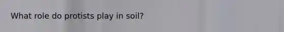 What role do protists play in soil?