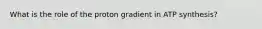 What is the role of the proton gradient in ATP synthesis?