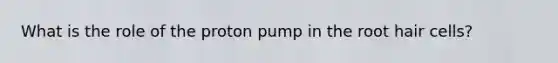 What is the role of the proton pump in the root hair cells?