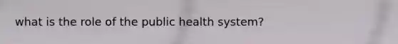 what is the role of the public health system?