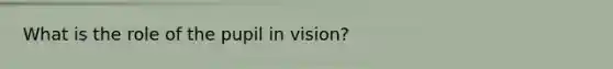 What is the role of the pupil in vision?