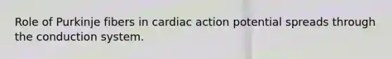 Role of Purkinje fibers in cardiac action potential spreads through the conduction system.