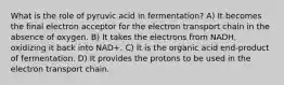 What is the role of pyruvic acid in fermentation? A) It becomes the final electron acceptor for the electron transport chain in the absence of oxygen. B) It takes the electrons from NADH, oxidizing it back into NAD+. C) It is the organic acid end-product of fermentation. D) It provides the protons to be used in the electron transport chain.