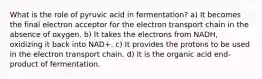 What is the role of pyruvic acid in fermentation? a) It becomes the final electron acceptor for the electron transport chain in the absence of oxygen. b) It takes the electrons from NADH, oxidizing it back into NAD+. c) It provides the protons to be used in the electron transport chain. d) It is the organic acid end-product of fermentation.