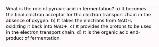 What is the role of pyruvic acid in fermentation? a) It becomes the final electron acceptor for the electron transport chain in the absence of oxygen. b) It takes the electrons from NADH, oxidizing it back into NAD+. c) It provides the protons to be used in the electron transport chain. d) It is the organic acid end-product of fermentation.