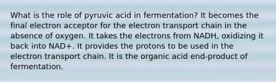 What is the role of pyruvic acid in fermentation? It becomes the final electron acceptor for the electron transport chain in the absence of oxygen. It takes the electrons from NADH, oxidizing it back into NAD+. It provides the protons to be used in the electron transport chain. It is the organic acid end-product of fermentation.