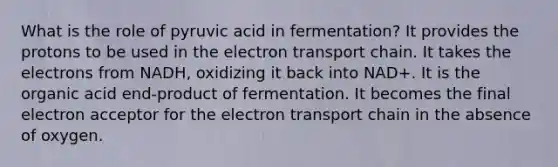 What is the role of pyruvic acid in fermentation? It provides the protons to be used in the electron transport chain. It takes the electrons from NADH, oxidizing it back into NAD+. It is the organic acid end-product of fermentation. It becomes the final electron acceptor for the electron transport chain in the absence of oxygen.