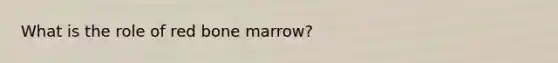 What is the role of red bone marrow?