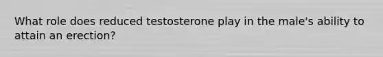 What role does reduced testosterone play in the male's ability to attain an erection?