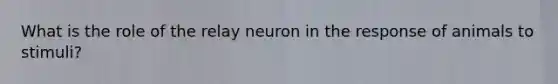 What is the role of the relay neuron in the response of animals to stimuli?