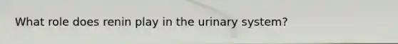 What role does renin play in the urinary system?