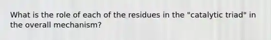 What is the role of each of the residues in the "catalytic triad" in the overall mechanism?