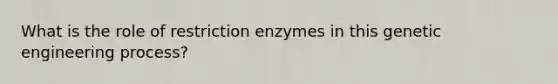 What is the role of restriction enzymes in this genetic engineering process?