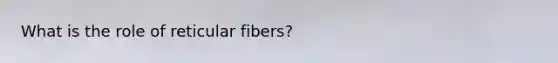 What is the role of reticular fibers?