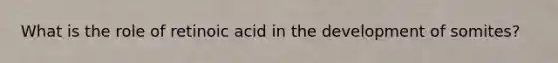 What is the role of retinoic acid in the development of somites?