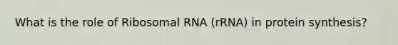 What is the role of Ribosomal RNA (rRNA) in protein synthesis?