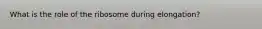 What is the role of the ribosome during elongation?
