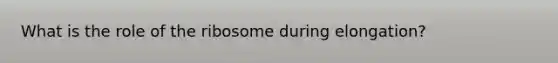 What is the role of the ribosome during elongation?