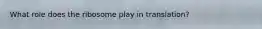 What role does the ribosome play in translation?