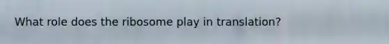 What role does the ribosome play in translation?