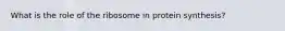 What is the role of the ribosome in protein synthesis?