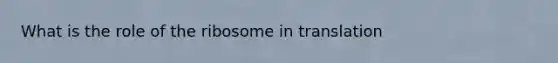 What is the role of the ribosome in translation