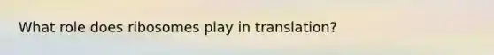 What role does ribosomes play in translation?