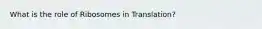 What is the role of Ribosomes in Translation?
