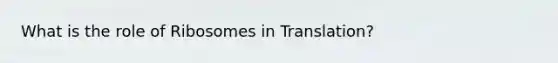 What is the role of Ribosomes in Translation?