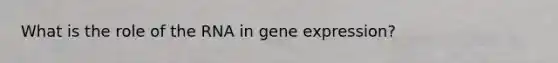 What is the role of the RNA in gene expression?