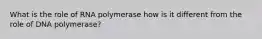 What is the role of RNA polymerase how is it different from the role of DNA polymerase?