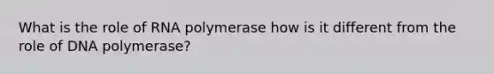 What is the role of RNA polymerase how is it different from the role of DNA polymerase?