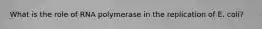 What is the role of RNA polymerase in the replication of E. coli?