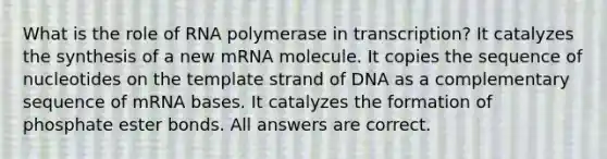 What is the role of RNA polymerase in transcription? It catalyzes the synthesis of a new mRNA molecule. It copies the sequence of nucleotides on the template strand of DNA as a complementary sequence of mRNA bases. It catalyzes the formation of phosphate ester bonds. All answers are correct.