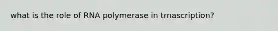 what is the role of RNA polymerase in trnascription?