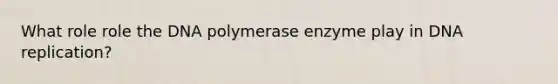 What role role the DNA polymerase enzyme play in DNA replication?