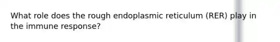 What role does the rough endoplasmic reticulum (RER) play in the immune response?