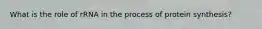 What is the role of rRNA in the process of protein synthesis?